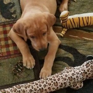 Meet your Posher, Candy